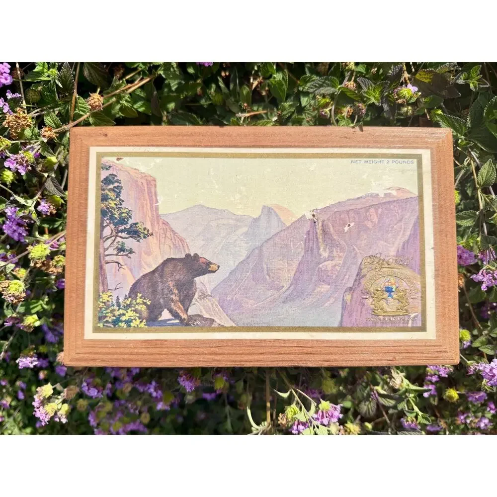 1930s Vintage Lyons California Glace Fruit Wood Box Yosemite Bear Advertising